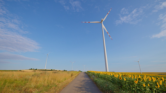 Country Road amidst Golden Sunflower Field with Wind Turbines against the Expansive Canvas of the Sky,Creating a Harmonious Blend of Nature and Renewable Energy.