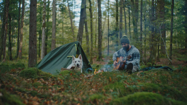 istock Man Practicing Guitar while Sitting with Dog by Food being Prepared on Campfire in Forest 2025397894