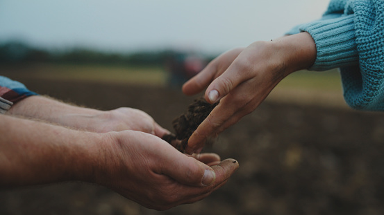 Male And Female Environmentalists Exchange Soil,Their Hands Cupped,In A Field,Symbolizing Shared Commitment To Nurturing The Earth
