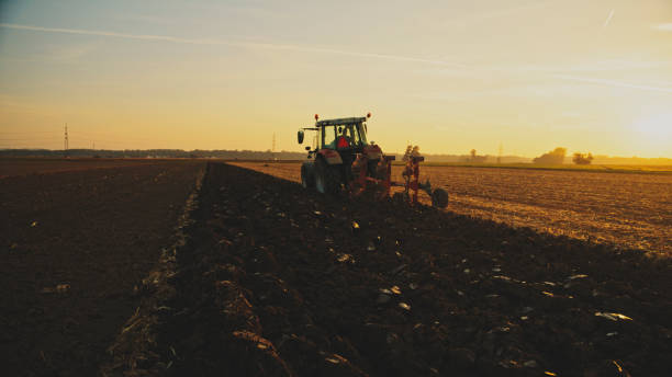 istock Tractor Plowing Agricultural Field Against Sky During Golden Hour 2025400554