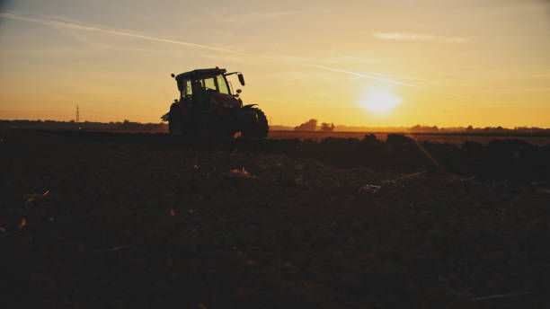 istock Tractor Plowing Agricultural Field Against Sky During Golden Hour 2025400557