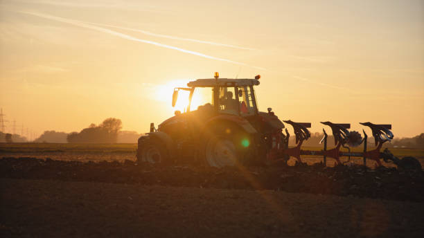 istock Sundown Cultivation,Tractor's Precision In Agricultural Furrows 2025401083