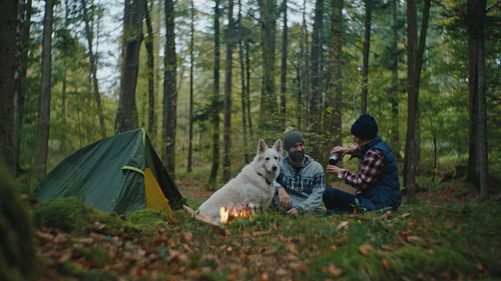 Radiating Happiness,a Couple Enjoys the Simple Pleasures of Camping in the Forest,Sitting Close to their Faithful Dog amidst the Tranquil Beauty of Nature during their Vacation Retreat.