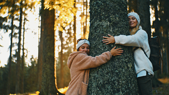 Amidst the Golden Hues of Autumn,a Heartwarming Scene Unfolds as Smiling Young Female Friends Embrace a Sturdy Tree Trunk in the Forest. Their Smiles Echoes Through the Nature's Embrace,Capturing the Essence of Friendship in the Beauty of the Season