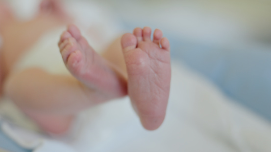 In a Close-Up Shot,the Tiny Feet of a Baby Lying in an Incubator Are Tenderly Depicted,a Poignant Reminder of the Fragile Innocence that Embodies the Hospital's Care Environment.