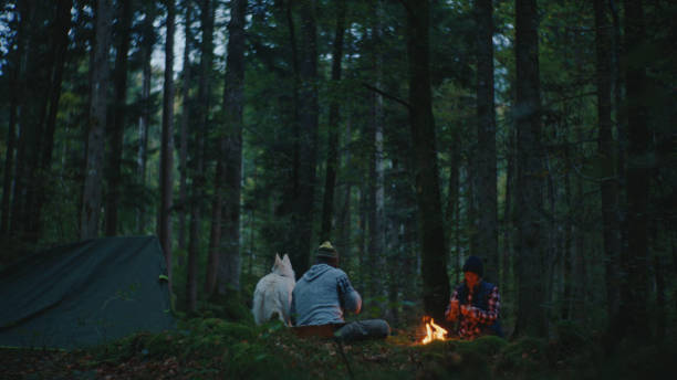 istock Couple Sitting near Campfire while Camping Together in Forest during Vacation 2025407100