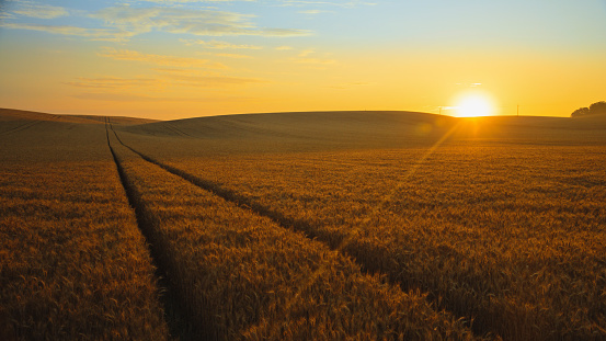In The Vast Wheat Field,The Sun Sets,Creating A Warm And Golden Glow. A Subtle Lens Flare Adds A Touch Of Radiance,And The Cloudy Sky Provides A Dramatic Backdrop To This Tranquil Agricultural Landscape.