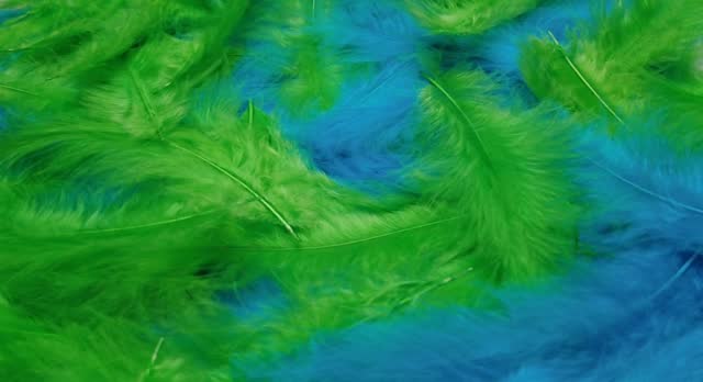Soft green and blue feathers, moving gracefully. Elegant slow motion, full screen.