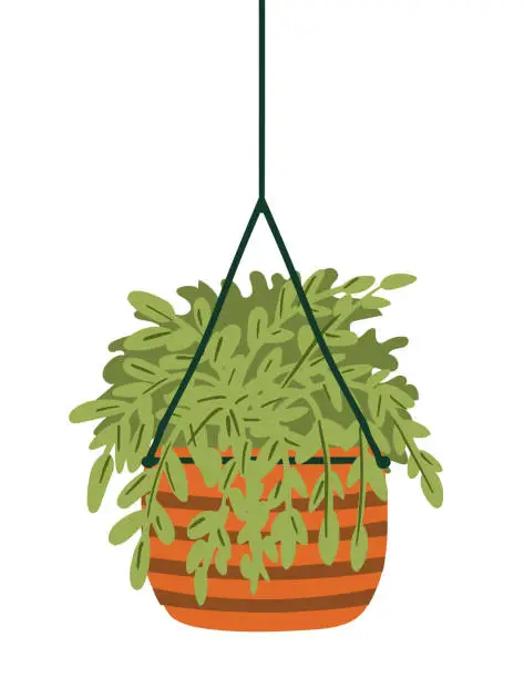 Vector illustration of Houseplant On A Transparent Background