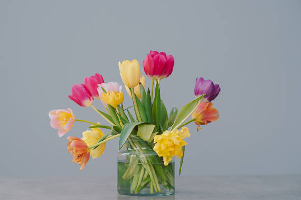 istock flowers in a vase. tulips 2025429136