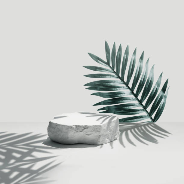 istock Selective focus.sandstone top product display platform in tropical design with shadow palm leaf on pastel wall background. 2025429550