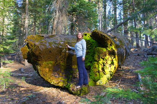 Woman on the root of fallen sequoia tree in Yosemite National Park.