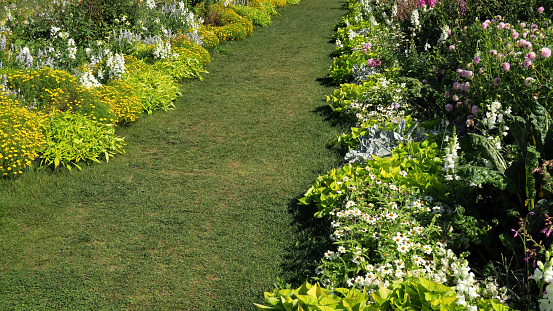 Automatic garden watering system with different sprinklers installed under turf. Landscape design with lawn hills and fruit garden irrigated with smart autonomous sprayers at sunset evening time.