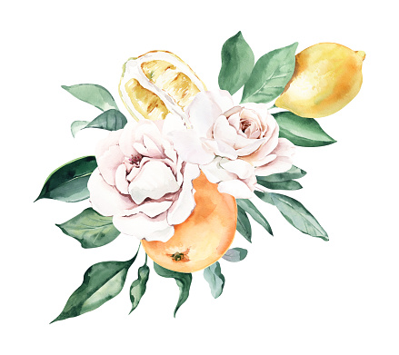 Watercolor Bouquet with Oranges, Lemons and Roses. Perfect for invitation and social media