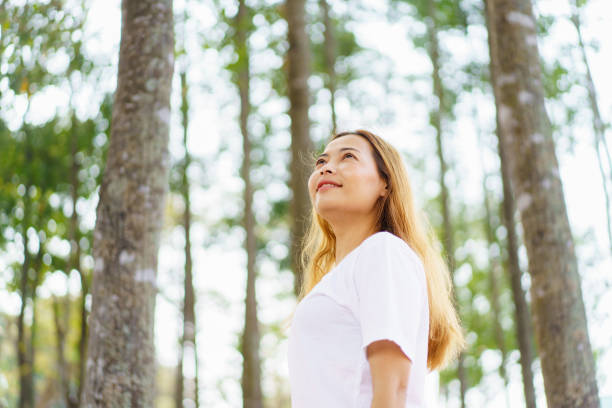 istock Asian woman enjoying in forest. 2025452223