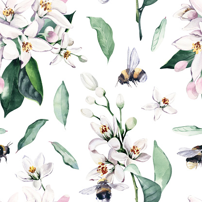 Watercolor Seamless Pattern Background with Elegant Lemon Flowers and Bumblebees