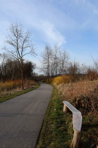 istock Asphalt bicycle lane in a city park. 2025496062