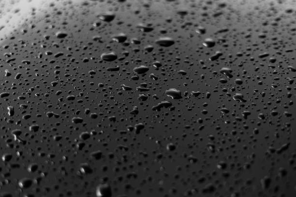 Rain or water drops different size on a black shiny car hood surface. Water droplets on dark iron surface and texture. Abstract background and water texture for design