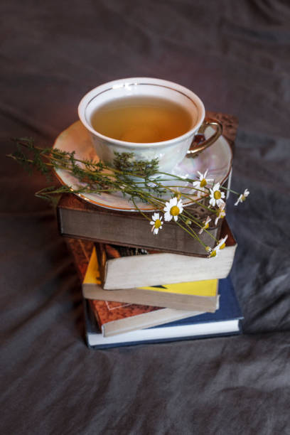 Cup of tea and bunch of old books in bed and branch of chamomile beside. Comfortable and cozy at home. Good morning. Breakfast time