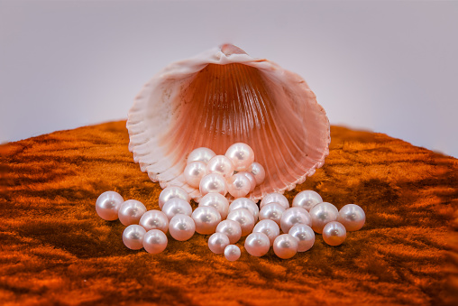 Differently sized pearls rolling out of a shell on a golden brown fabric