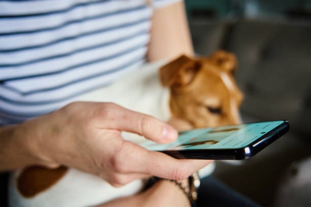 Woman using mobile phone at home