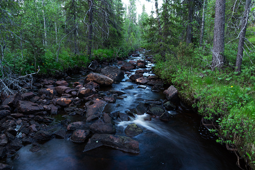 A small rocky stream in the middle of a lush summery forest in Salla National Park, Northern Finland