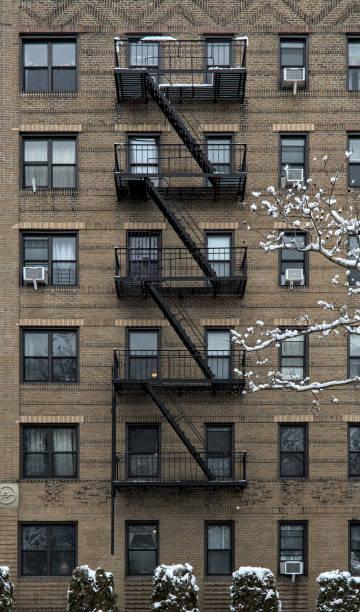 istock snow covered tree in front of tall brick apartment building (high rise residential home) with fire escape, windows, snowing, winter in brooklyn new york city 2025606709