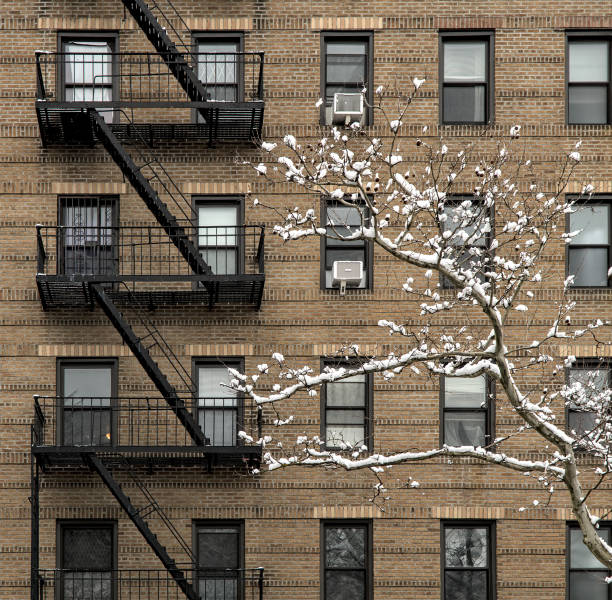 istock snow covered tree in front of tall brick apartment building (high rise residential home) with fire escape, windows, snowing, winter in brooklyn new york city 2025610930