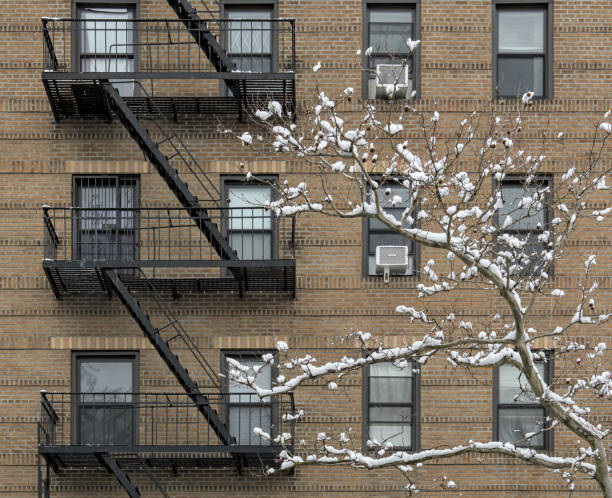 snow covered tree in front of tall brick apartment building (high rise residential home) with fire escape, windows, snowing, winter in brooklyn new york city