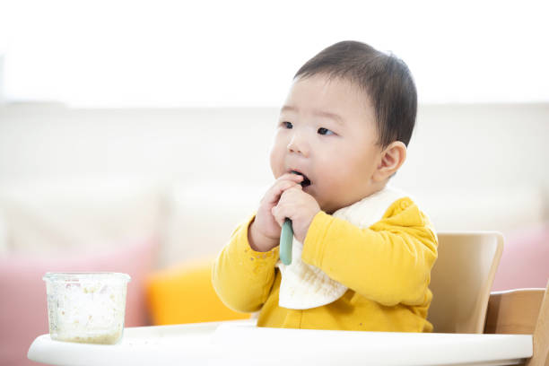 istock baby food 2025614615