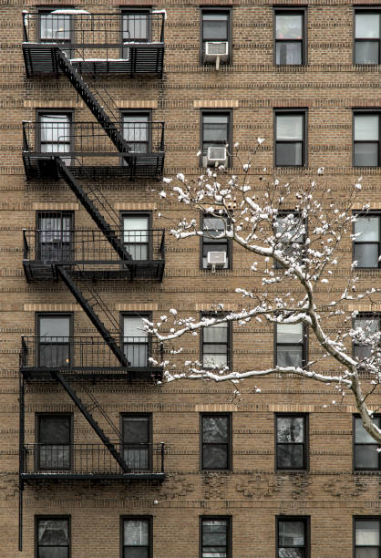 istock snow covered tree in front of tall brick apartment building (high rise residential home) with fire escape, windows, snowing, winter in brooklyn new york city 2025617265