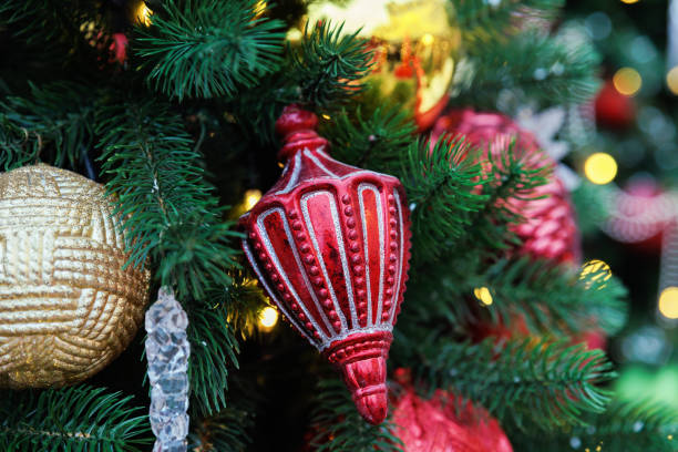 A detailed shot of red and gold decorative ornaments on a lush green pine branch with soft lighting and a shallow depth of field for festive holiday backgrounds