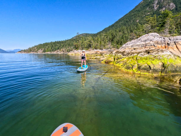 istock Personal perspective of couple stand up paddle boarding on ocean 2025653352