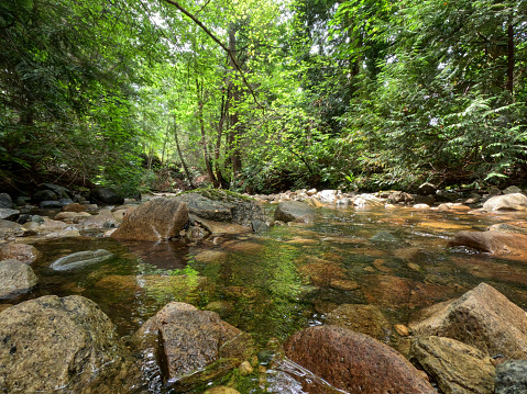 Scenic view across rocks in stream and lush forest