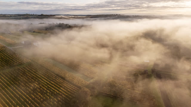 HYPERLAPSE Time Lapse Fog Over Rural Landscape. Countryside in the Morning. Vineyards In The Sunrise. Beautiful Sunrise Over the Vineyard. A Breathtaking Sight.