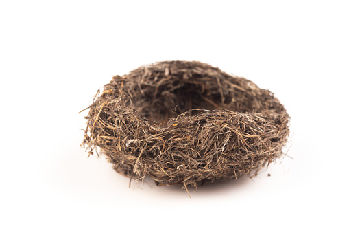 Empty straw nest isolated on white background