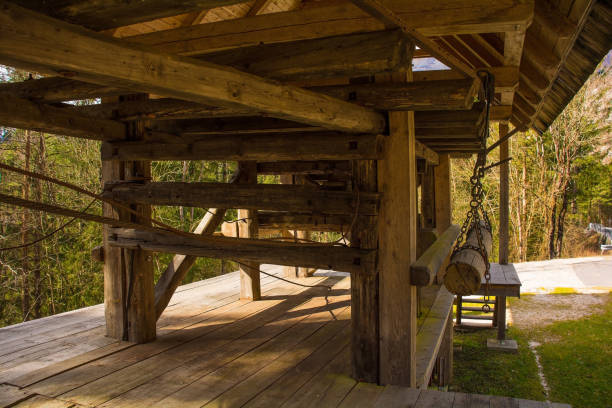 A close-up image showcasing the cross-section of a log covered with lichen, demonstrating natural textures and wood patterns in bright daylight. Rural architecture details