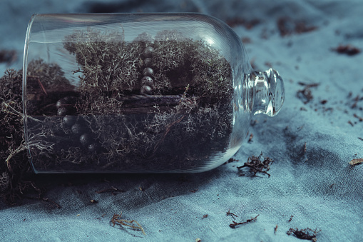 Terrarium Concept with Reindeer Moss. The glass dome toppled over, spilling reindeer moss onto the fabric surface.