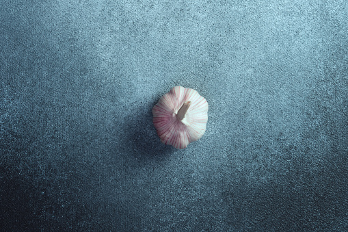 Solo Garlic Bulb on Textured Grey Surface. A single garlic bulb centered on a grey textured backdrop, simple and minimalistic.