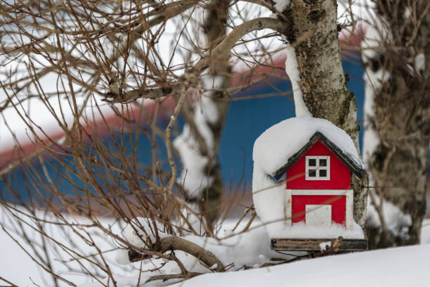 Birdhouse in tree in winter snow. Nature