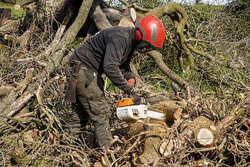 Man cutting a tree trunk with a chainsaw. Chain saw. Forestry work