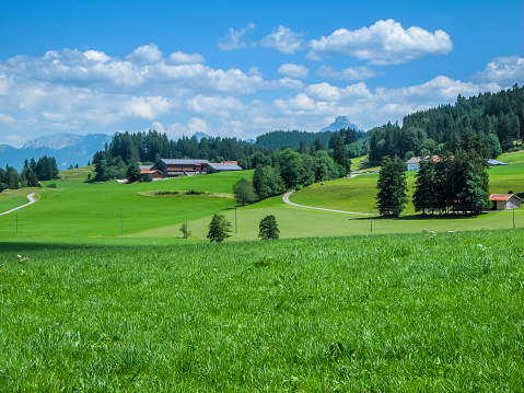 Typical landscape view in the Bavarian Alpine foothills of Allgäu with gentle hills and small forest areas in front of a blue sky with white clouds and the first high Alpine mountains in the background.