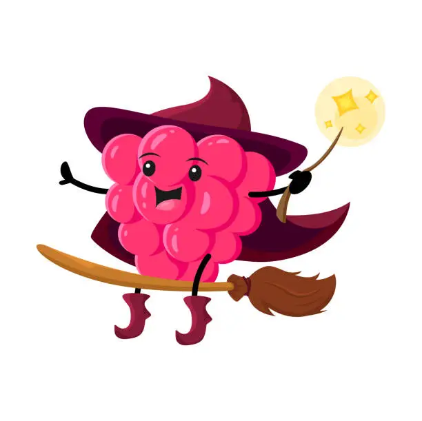 Vector illustration of Cartoon raspberry berry wizard, mage or magician