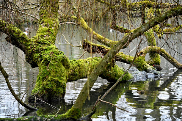 Untouched nature
