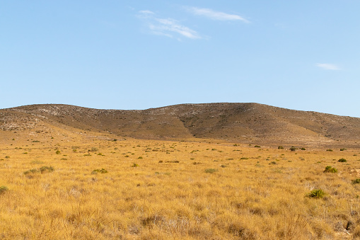 Stony hill surrounded by a sea of dry grass in summer.