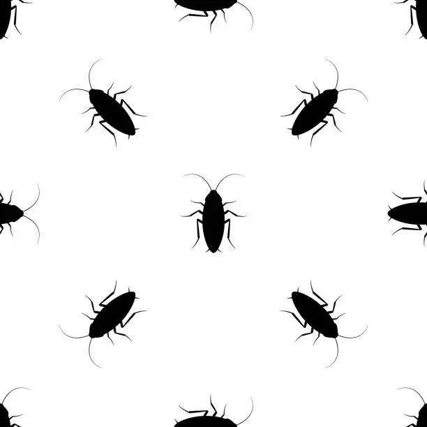 Vector illustration of Cockroach bug ant seamless background insect pest vector illustration background design.