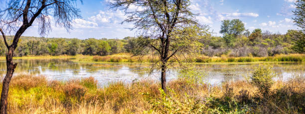 The Etosha National Park is a 22,275-square-kilometer national park in the north of Namibia and the most important protected area in the country.