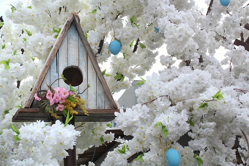 Birdhouse in the garden at easter time. Wooden feeder with flowering tree at springtime. Spring garden decoration. Small house for birds on a flowering tree. Nesting box
