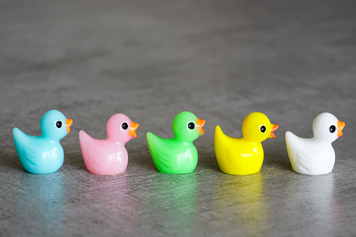Various colors miniature toy ducklings in a row on grey background, diversity, equity and inclusion concept