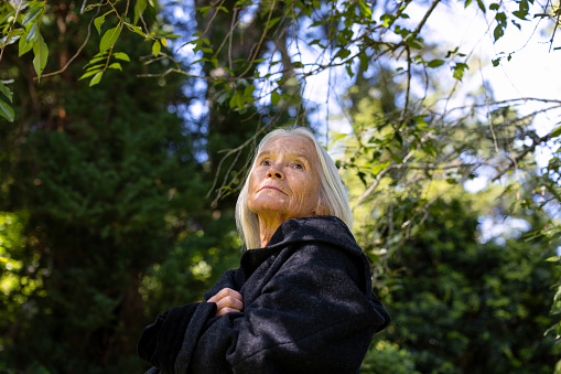 Portrait of senior woman in the garden looking up, background with copy space, full frame horizontal composition